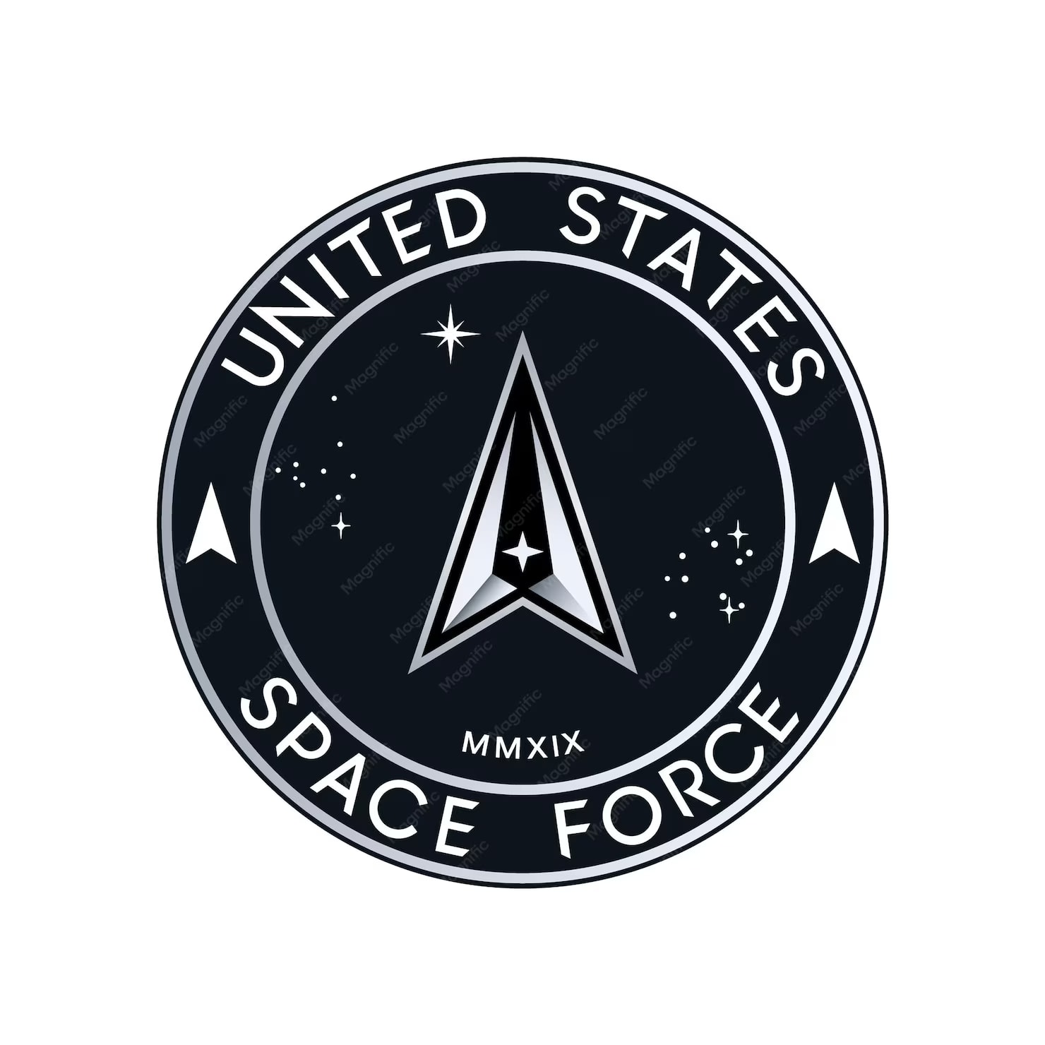 U.S. Space Force emblem